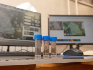 Порошки адсорбента. Фото Анастасии Тамаровской / ФИЦ КНЦ СО РАН