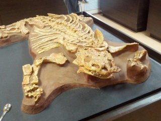 © Мария Шевченко/ ТАСС