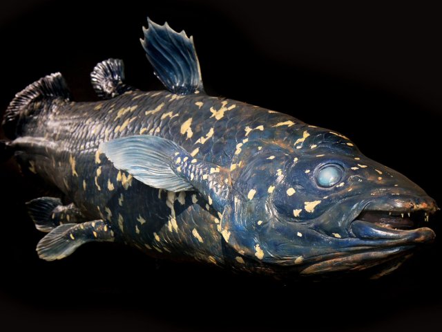 Источник фото ru.123rf.com