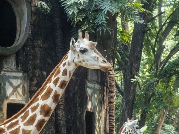 Изображение: simages/Фотобанк ru.123rf.com