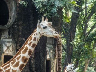 Изображение: simages/Фотобанк ru.123rf.com