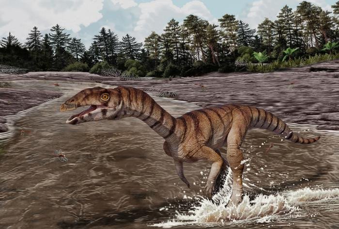 Реконструкция Labrujasuchus expectatus, нового вида шувозавров из позднетриасовых пород ранчо Гост, Нью-Мексико. Фото: Artwork by Jorge Gonzalez, copyright NHMLAC Dinosaur Institute