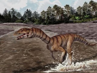 Реконструкция Labrujasuchus expectatus, нового вида шувозавров из позднетриасовых пород ранчо Гост, Нью-Мексико. Фото: Artwork by Jorge Gonzalez, copyright NHMLAC Dinosaur Institute