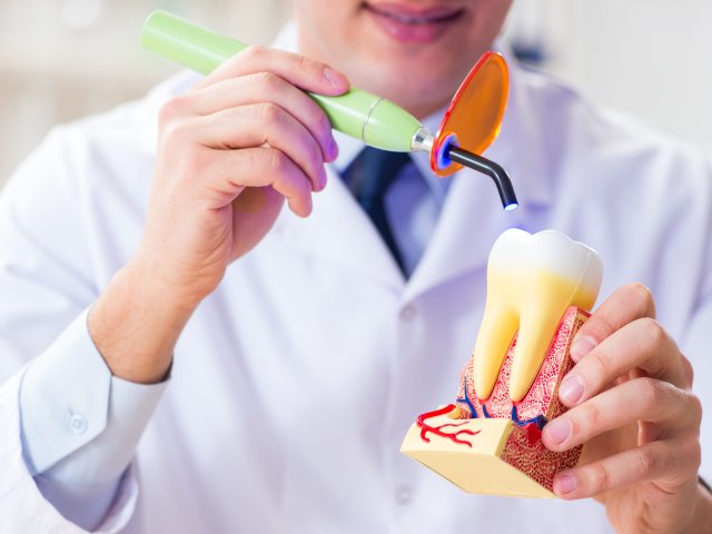 Источник фото: ru.123rf.com