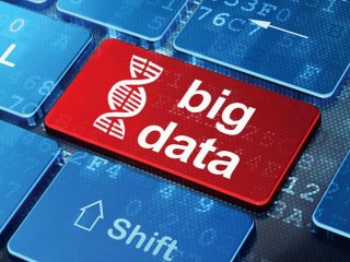 Составлен свод рекомендаций для онлайн-идентификаторов в биологии