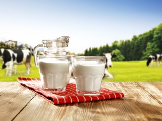 Электрохимики ТПУ разработали экспресс-метод определения ядов в молоке и молочных продуктах