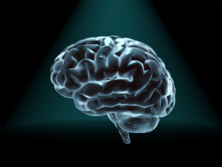 Как мозг выбирает между знанием и неведением