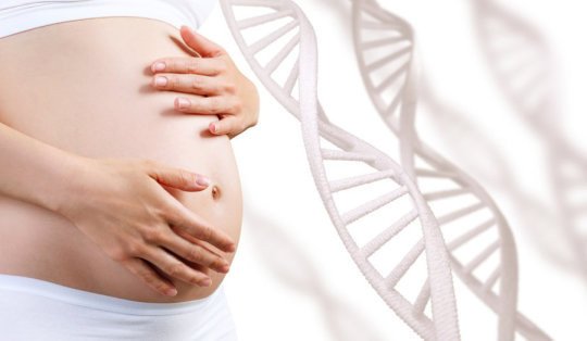 Исправление генетических нарушений в период внутриутробного развития