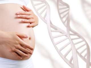 Исправление генетических нарушений в период внутриутробного развития