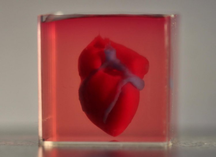 Ученые из Израиля напечатали первое 3D-сердце, используя клетки пациента