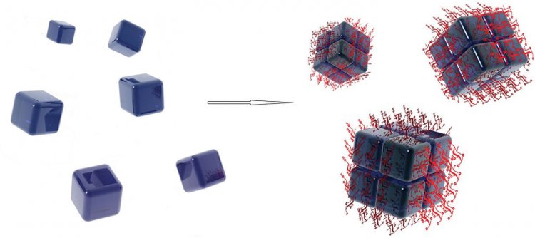 Наночастицы из триоксида вольфрама, созданные российскими биофизиками и химиками/© Han et al. / Journal of Nanomaterials 2019
