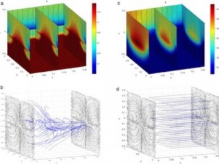 Изображение авторов исследования