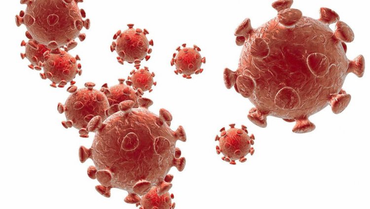 Изображение: drmicrobe/Фотобанк RU.123.RF