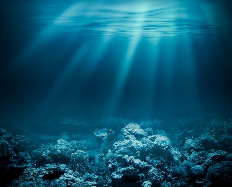 Даже в глубинах океана нет спасения от изменения климата