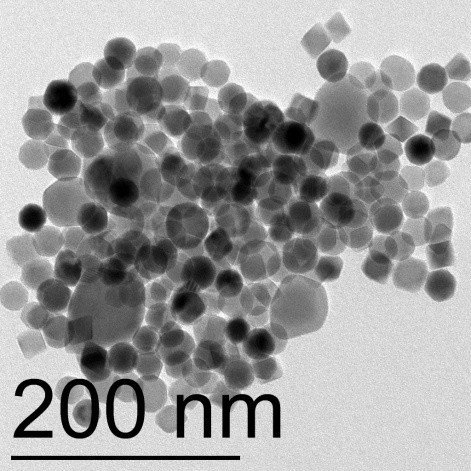 Ученые РФ и Тайваня создали гибридные наноструктуры из магнитных наночастиц и серебра