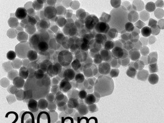 Ученые РФ и Тайваня создали гибридные наноструктуры из магнитных наночастиц и серебра