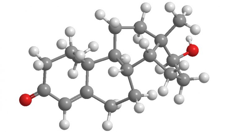 Трехмерная модель молекулы тестостерона