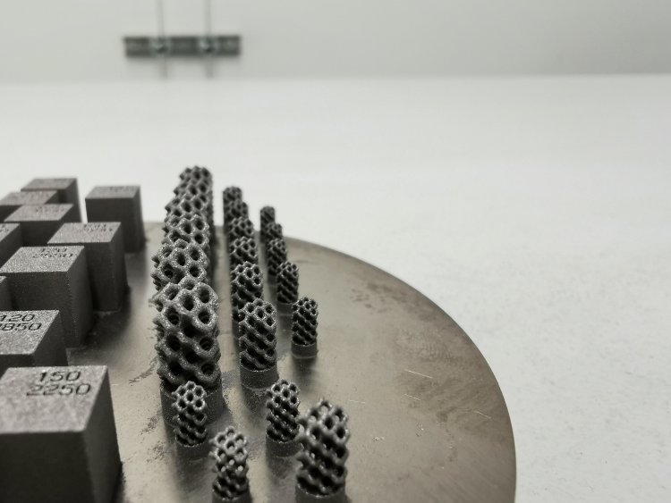Напечатанные на 3D-принтере образцы из сплава железа и кремния. Фото: Олег Дубинин/Сколтех
