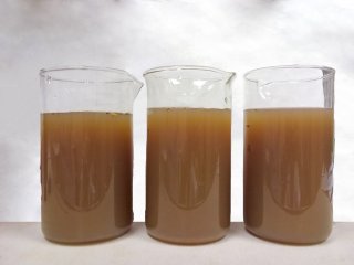 Исходная сточная вода