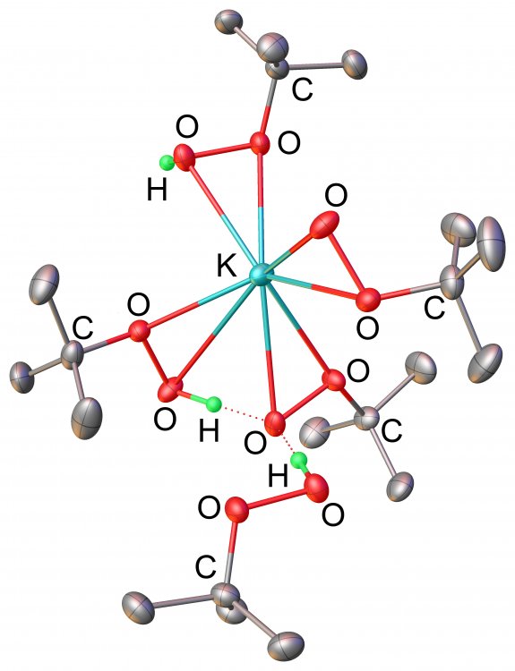 Взаимодействия в кристаллической структуре аддукта трет-бутил гидропероксида с его калиевой солью: водородные связи с участием ООH-групп и окружение иона калия. Источник: Buldashov et al. / CrystEngComm, 2022