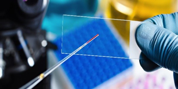 Ученые изобрели нанопипетку для клеток