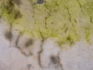 Пермский биокатализатор очистит воду от кислоты. Изображение: junce / Фотобанк 123RF