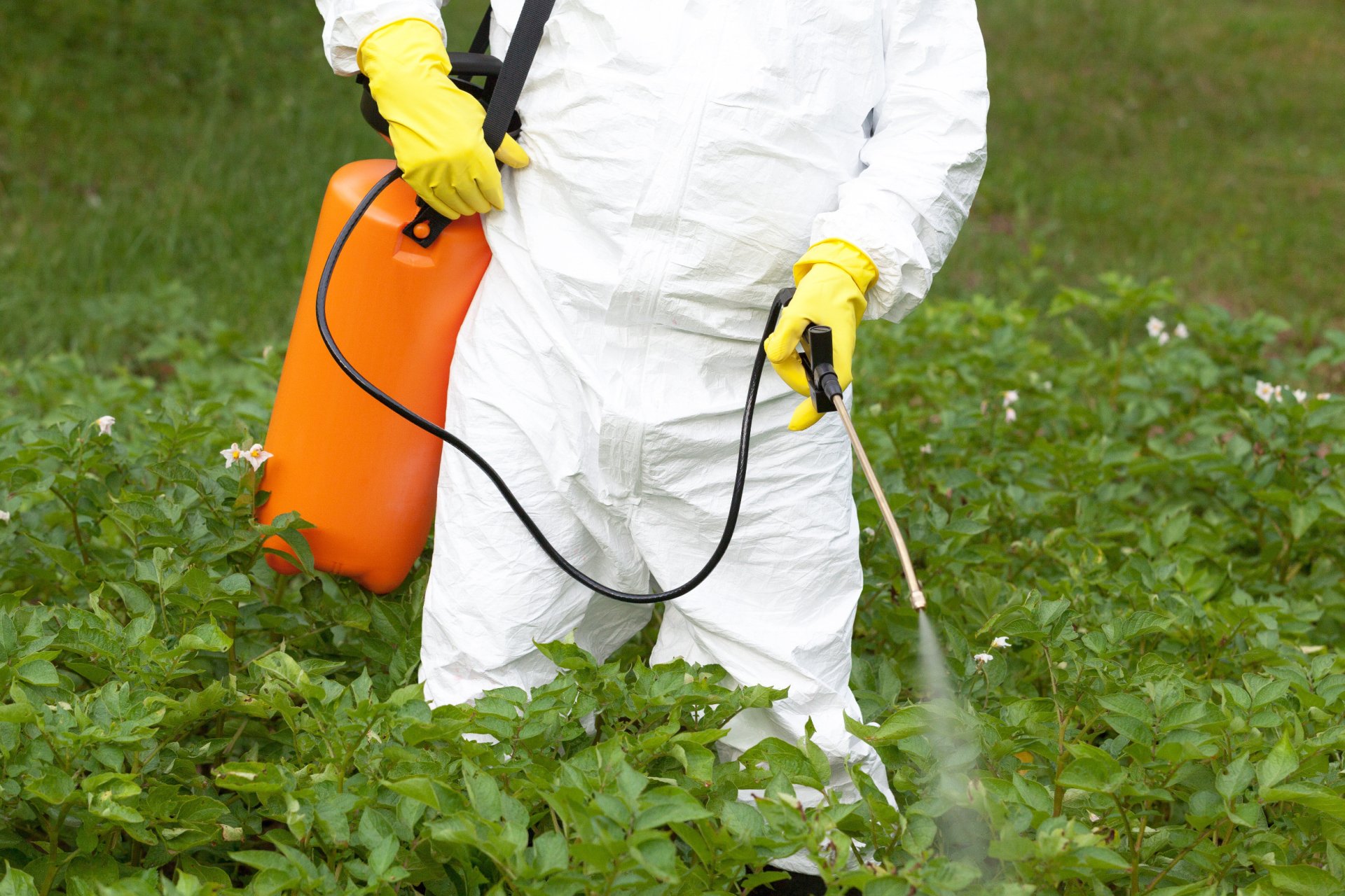 Plant protection. Пестициды. Пестициды и гербициды. Распыление пестицидов. Пестициды ядохимикаты.