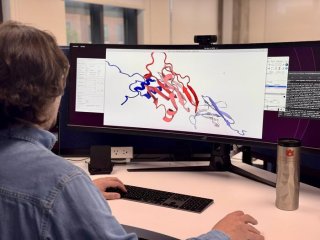 Доктор Гомес изучает белковый комплекс, используя передовые вычислительные инструменты. Фото: Auburn University Physics / Dr. Rafael Bernardi