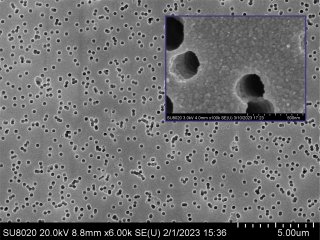 Микрофотографии поверхности мембраны, полученные на растровом электронном микроскопе. На снимке видны пора и наночастицы серебра, осажденные на мембране. Источник - Елена Завьялова