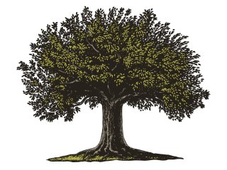 Источник: lestyan2 / ru.123rf.com