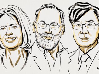 Лауреаты Мэри Бранкоу, Фред Рамсделл и Шимон Сакагучи. Иллюстрация: Niklas Elmehed © Nobel Prize Outreach