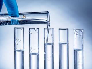 Изображение: volff/Фотобанк RU.123.RF