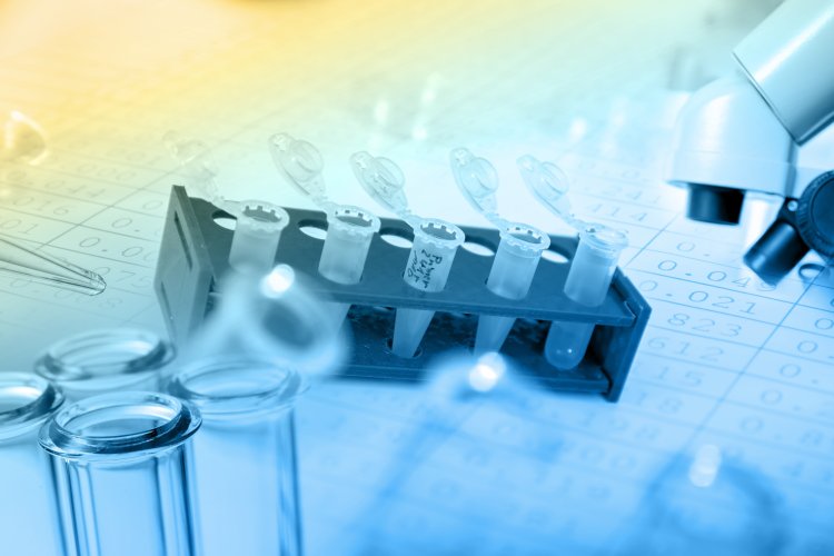 Фото: alex011973 / 123RF