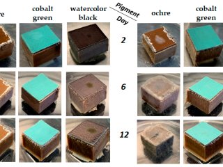 Источник: ФИЦ Биотехнологии РАН