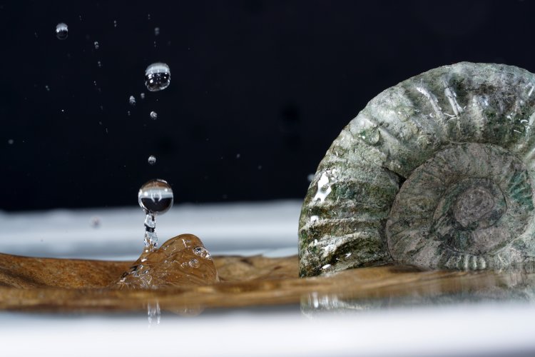 Фото: helfei / 123RF