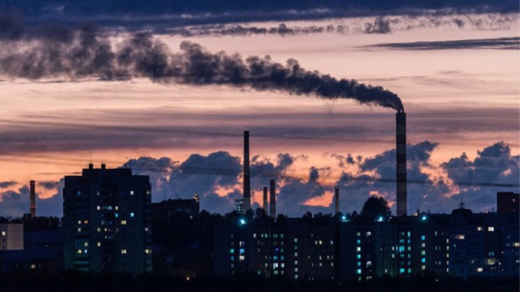 �&nbsp; ���� ��� ������� ���������� ������ ���������� ����