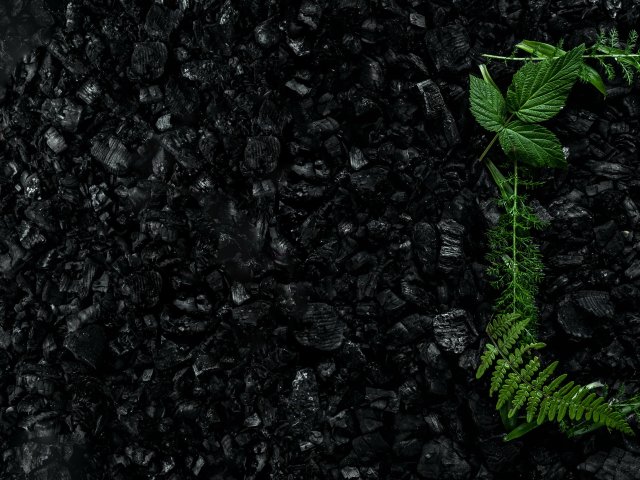 Источник фото: ru.123rf.com