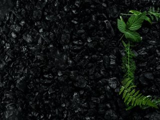 Источник фото: ru.123rf.com