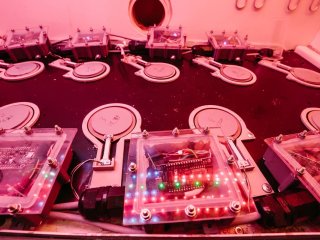 Фото Ольги Мерзляковой