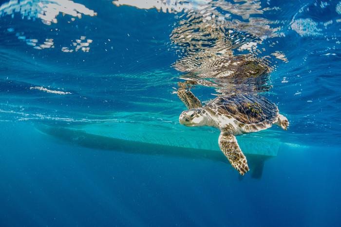 ���&nbsp; ������ ����� ������ ������� �������� � ����?