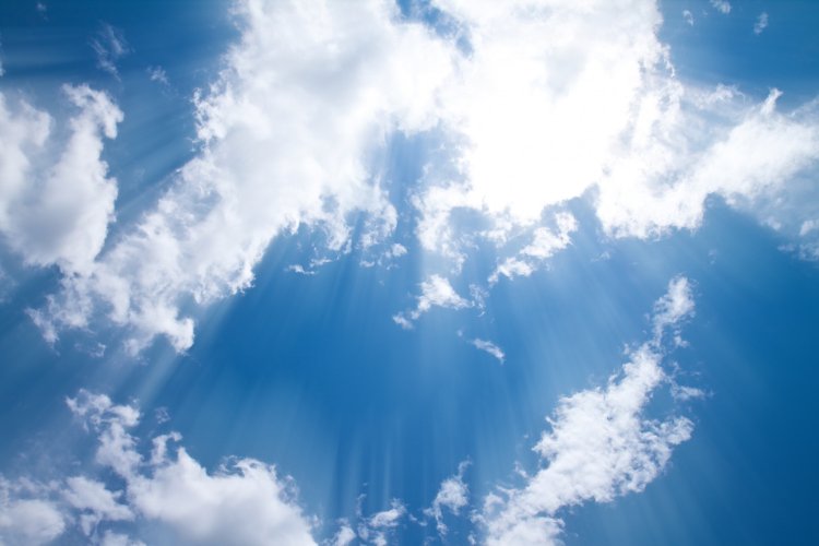 Изображение: Фотобанк Freepik