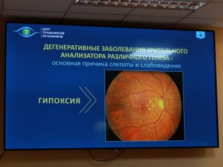 Всероссийская конференция «Безопасность человека как глобальный вызов современности: перспективы применения медицинских газов и газовых смесей». Фото: Елена Либрик / «Научная Россия»