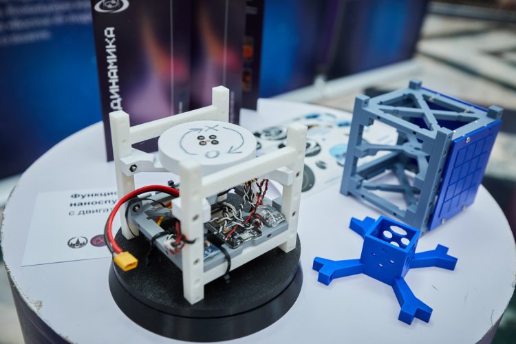 Фото: Елена Либрик / Научная Россия