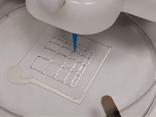 3D-печать образца гидрогеля. Источник пресс-служба ПНИПУ