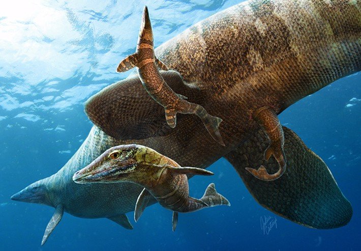 Как мозазавры рожали в воде