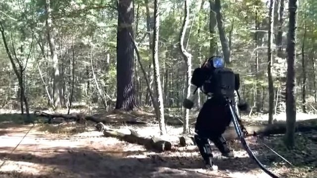 Двуногий робот идет лесом (+видео)
