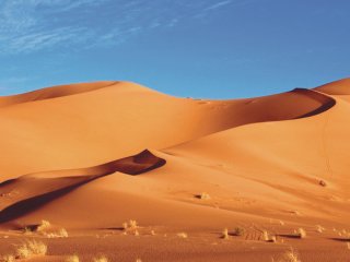 Как Сахара всего за 6000 лет стала пустыней