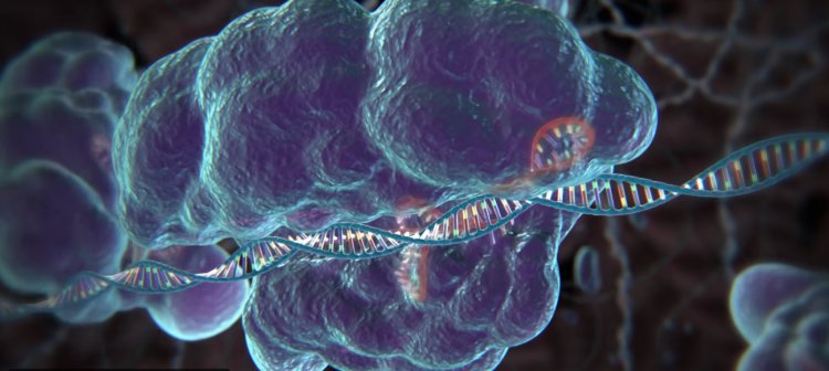 Ученые РФ и США будут совместно продвигать на рынке разработки в области CRISPR-систем