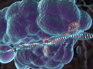 Ученые РФ и США будут совместно продвигать на рынке разработки в области CRISPR-систем