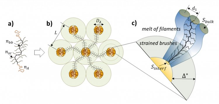 Схематическое изображение трёхблочных сополимеров (а), самоорганизованной макромолекулярной структуры из них (b) и места сочленения среднего и концевого блока сополимера // Источник: Dimitri A. Ivanov, Charles Clair et al. Strained Bottlebrushes in Super